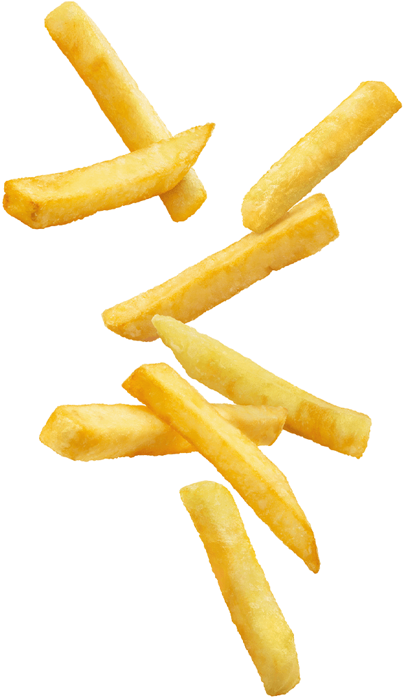 https://burgerstation.com.do/wp-content/uploads/2021/01/floating_fries_02.png